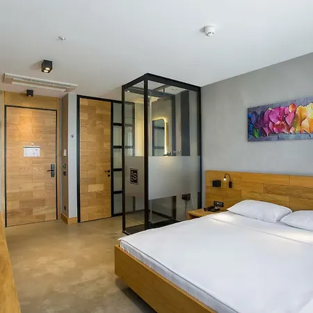 The S, Ascend Collection (adults Only)